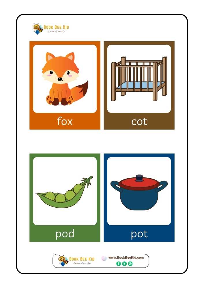 CVC short vowel u flashcard-2