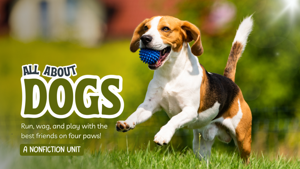 Colorful Illustrative Style All About Dogs Nonfiction Unit Presentation_compressed