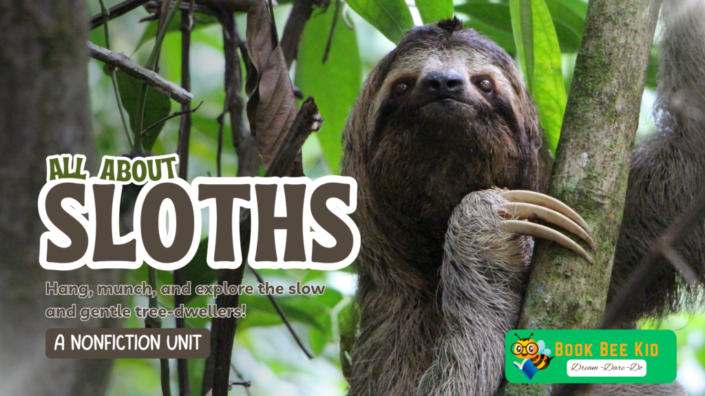 SLOTHS
