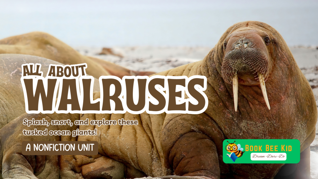 WALRUSES